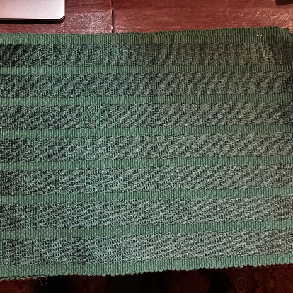 Pier One NWT set of 6 green cotton rayon placemats